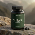 Buy Shilajit (Salajeet) Capsules 30 Count in Pakistan – Vytamines Official